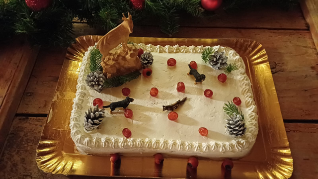 InterVP FCI Europapokal Italien 2025 Torte