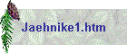 Jaehnike1.htm